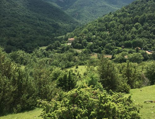 Panoràmica des del camí de l’Ermita de Salarsa